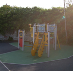 Newcastle Integrated P.S