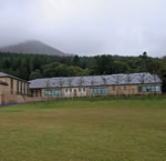 Newcastle Integrated P.S